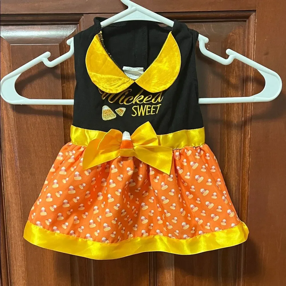 Wicked Sweet Candy Corn Small Dog Dress Costume for Halloween. So cute!!!